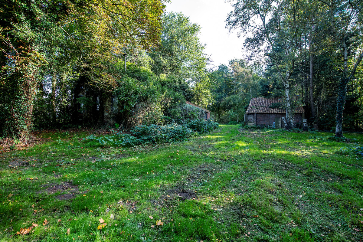 Woning te koop: 2E Dalweg 10, Vriescheloo