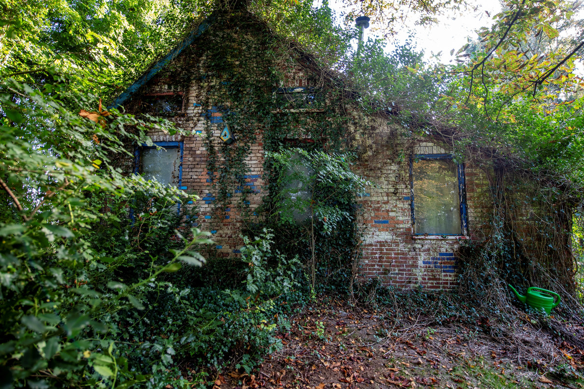 Woning te koop: 2E Dalweg 10, Vriescheloo