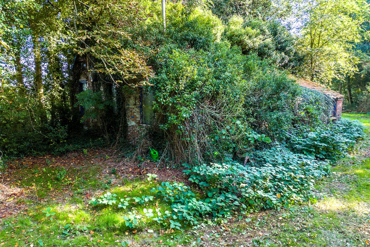Woning te koop: 2E Dalweg 10, Vriescheloo