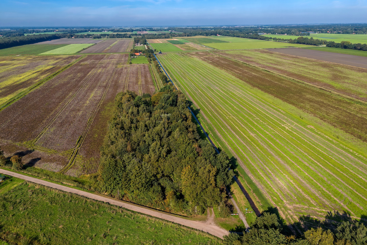 Woning te koop: 2E Dalweg 10, Vriescheloo