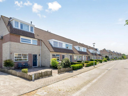 Roerdomp 37