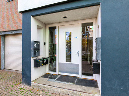 Zandberg 4E