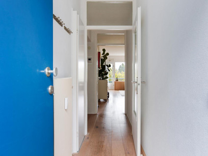 Koolmeesstraat 62