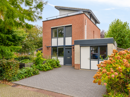 Schout van Vertaingstraat 15