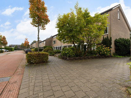 Ploeglaan 46