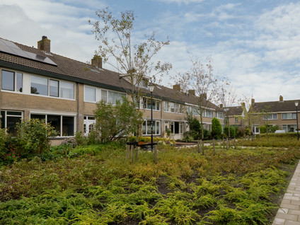 Wilgenlaan 38