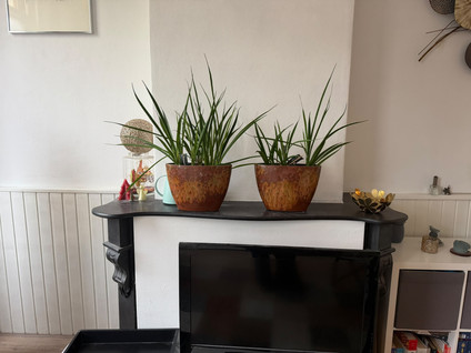 Nieuwe Ginnekenstraat 29A