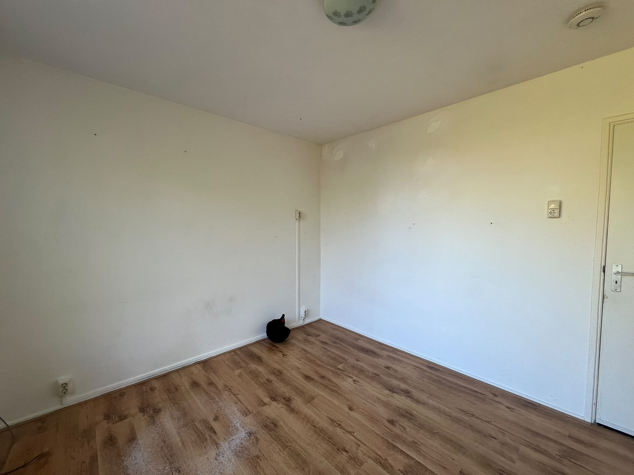Woning te huur: Siriusstraat 49 9742KV Groningen