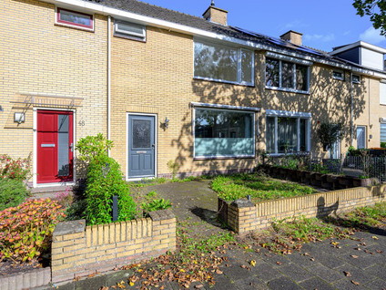 Mesdagstraat 46
