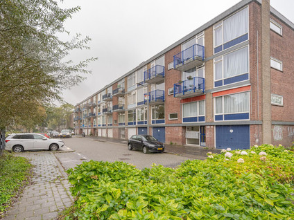 Steenvoorde 21