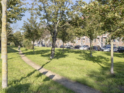 Van 's-Gravesandestraat 15A