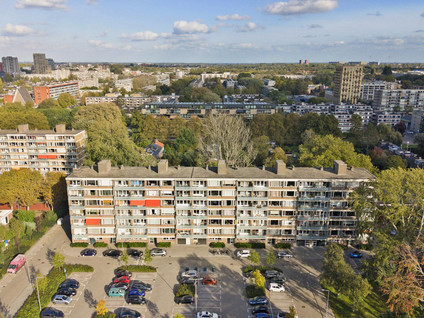 Van der Helmstraat 450