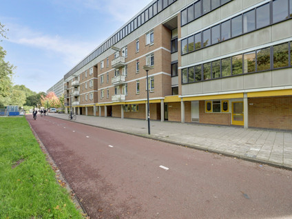 Haardstee 185