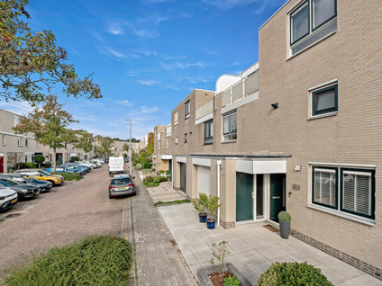 Ponyweide 61