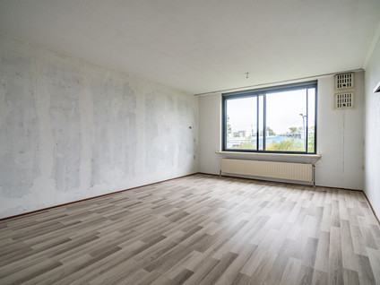 Veenbes 93