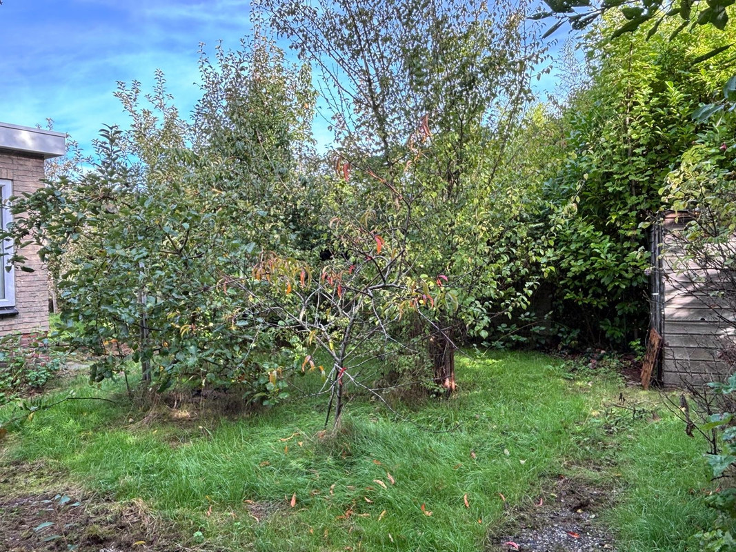 Twee-onder-één-kap te koop: Wandeldreef 3, Aardenburg