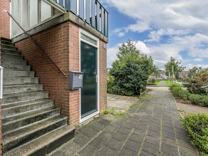 Roede 45