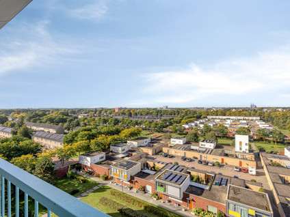 Raamveld 171