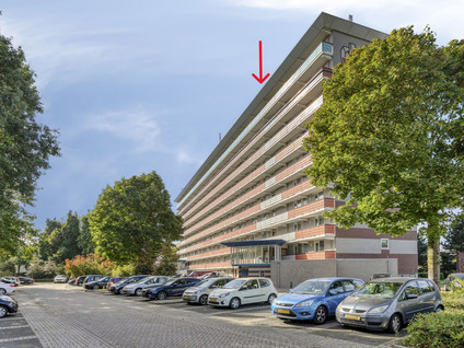 Raamveld 171