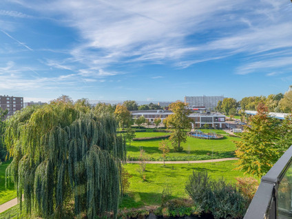 Lijstersingel 87
