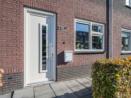 Iepenlaan 30