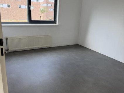 Zonnebaarsstraat 16