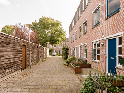Hollandse Aak 16