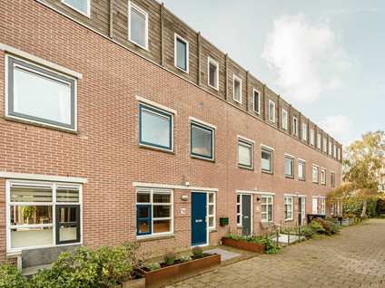 Hollandse Aak 16