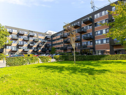 Zandsteen 79