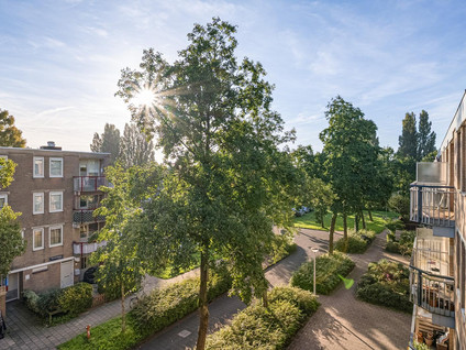 Steenderenstraat 13