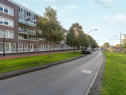 Laan van Wateringse Veld 1072