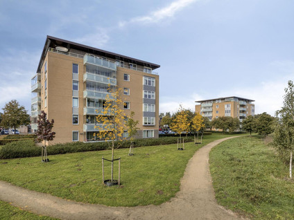 Schildwacht 71