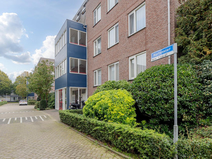 Hartenvier 35
