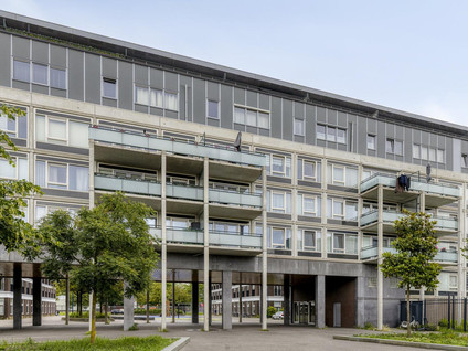 Ekingenstraat 110