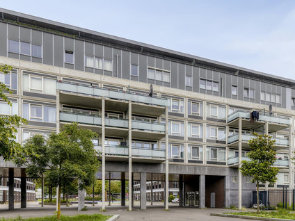 Ekingenstraat 110