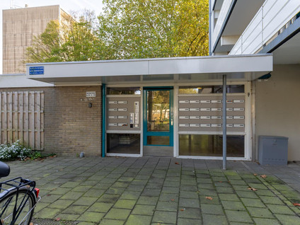 Houtsmastraat 104