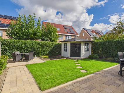 Roerdomp 20