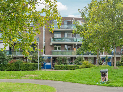 Arnhemplein 40