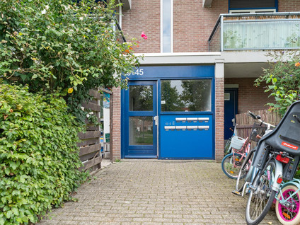 Arnhemplein 40
