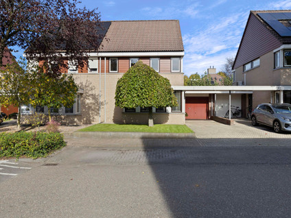 Brandnetel 23