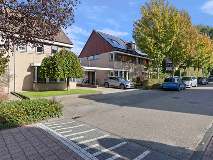 Brandnetel 23
