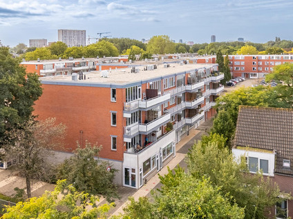 Havikskruid 68