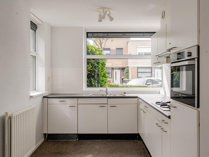 Wintergroen 26