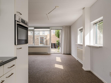 Wintergroen 26