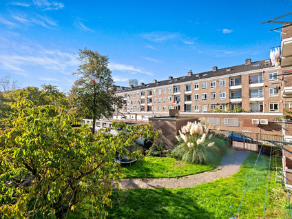 Van Alkemadestraat 24