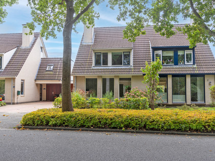 Zilverschoon 43