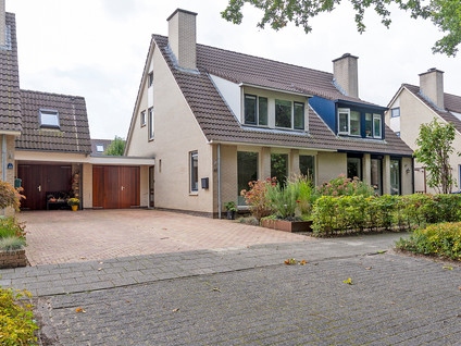 Zilverschoon 43