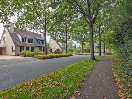 Zilverschoon 43