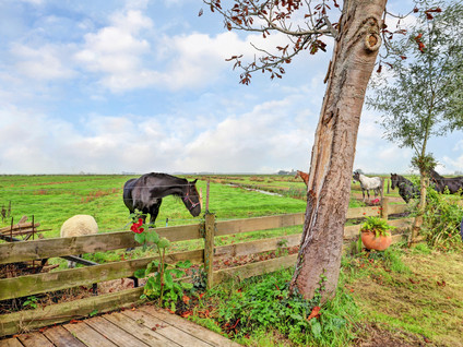 Broekermeerdijk 27WS