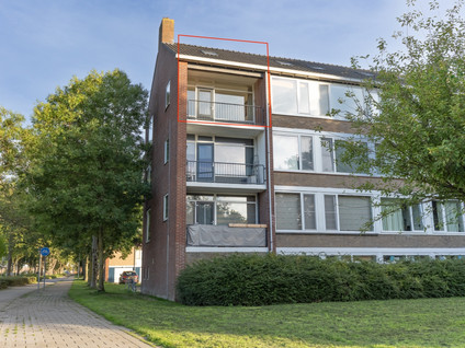 Tesselschadelaan 24